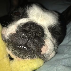 Meet your Posher, Ryen